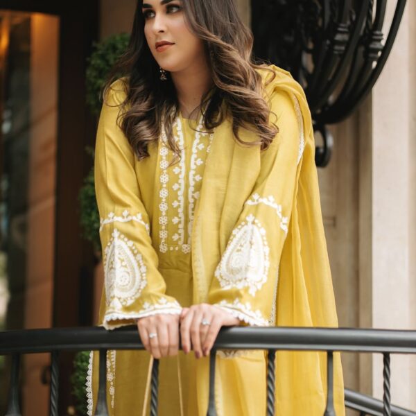 3-PC Silk Stitched Dress